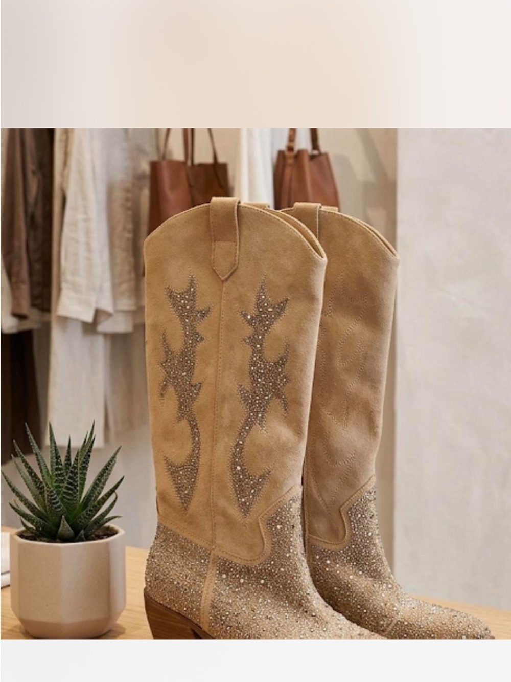 Embellished Suede Cowboy Boots in Tan